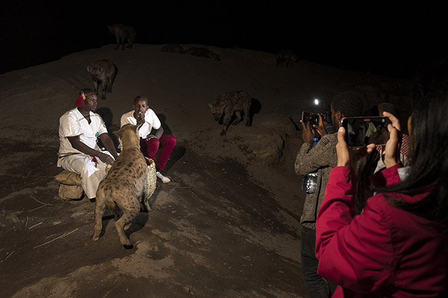 By the light of their mobile phones, tourists and locals come to sit alongside Abbas to capture themselves feeding the hyenas.