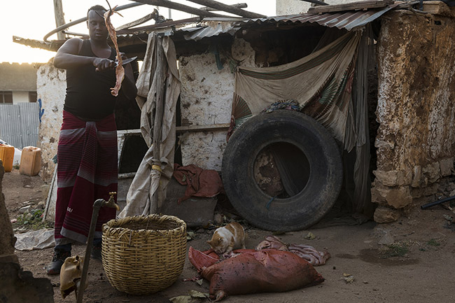 Abbas is cutting pieces of meat for the nightly meal of the hyenas.
It's up to 200 kg of camel, sheep, and goat meat and bones that are distributed every evening to the hyenas of Harar.