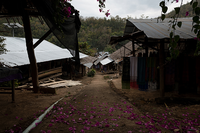 The village of Huai Pu Kaeng was for many years a tourist hotspot in the Mae Hong Son region in northwest Thailand. Before the Covid-19 pandemic, up to 250 tourists a day could walk down the village’s single paved street. Today, at certain moments of the day, the village looks more like a ghost town.