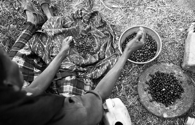 Oromos Pilgrims of Sheikh Hussein