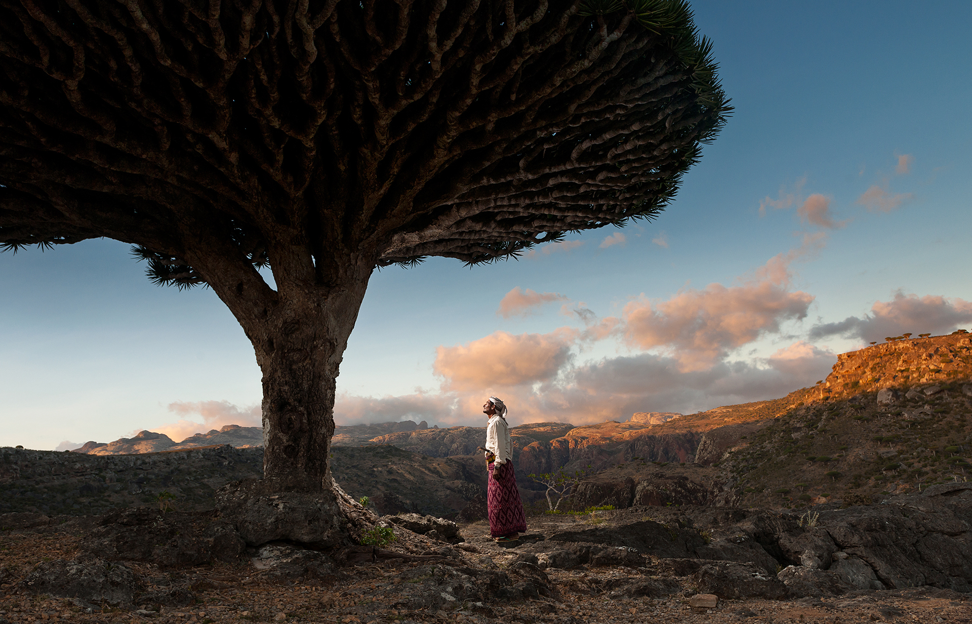 Socotra: the blessed island, Yemen 2020