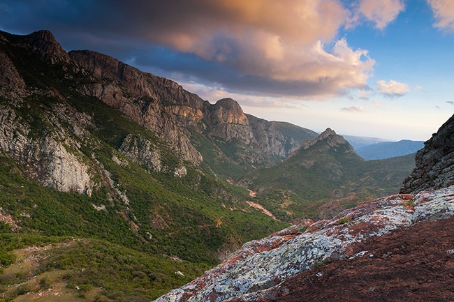 After the dissipation of the morning mists, the Haggier mountains -the highest massif on the island culminating at an altitude of 1,580 meters-  reveal its green valleys and magnificent mountain landscapes. Socotra - Yemen - 2020
