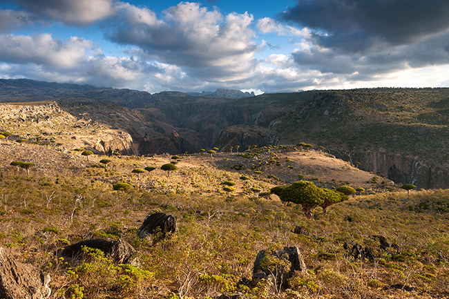 The Dixam limestone plateau unfolds a magnificent panorama on the Haggier mountains. Socotra - Yemen - 2020