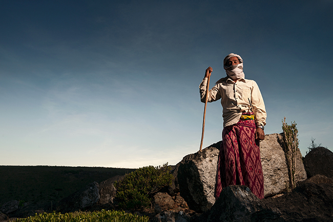 Issa, a goat shepherd living in Dixam village. Like most Socotrans, he wears a <i>Fouta</i>, the traditional Yemeni pant, and a <i>Ghutra</i> around his head. Socotra - Yemen - 2020