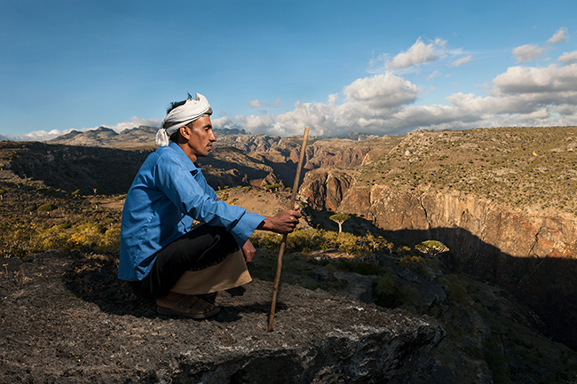 Mohammed, goat shepherd and teacher of the Dixam village. Like most Socotrans, he wears a <i>Fouta</i>, the traditional Yemeni pant, and a <i>Ghutra</i> around his head. Socotra - Yemen - 2020