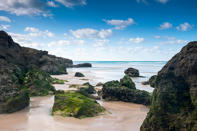 Like Ahrer, the pristine beaches and the 300 km of Socotra untouched coastline is stirring up the greed of investors. Socotra - Yemen - 2020
