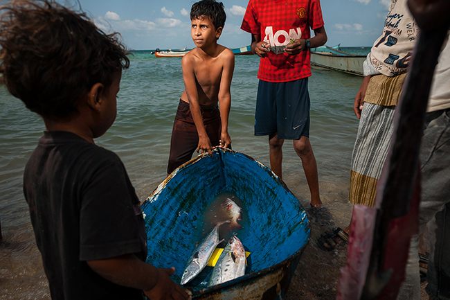 On the coast, like here at Qalansiyah, fishing remains the main source of income. From the early age, children learn how to sail and fish. Socotra - Yemen - 2020