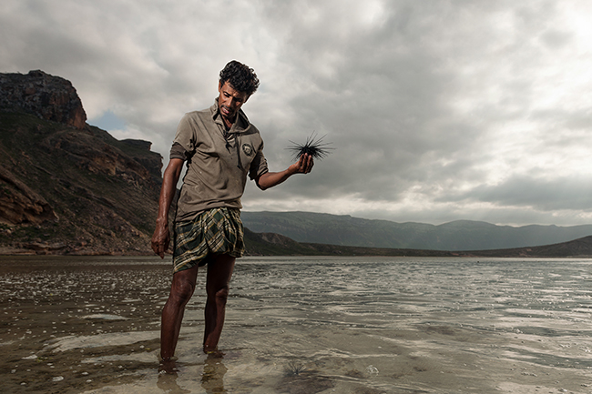 Nostalgic of a time when the islanders did not live on imported products, Abdullah -whom everyone here calls <i>the Cave Man</i> as he was born in a cave overlooking the Detwah lagoon and has lived there almost all his life- is happy to shows how he survives with nature by supplying himself with fresh seafood like urchins, which he catches by hand on a daily basis. Socotra - Yemen - 2020