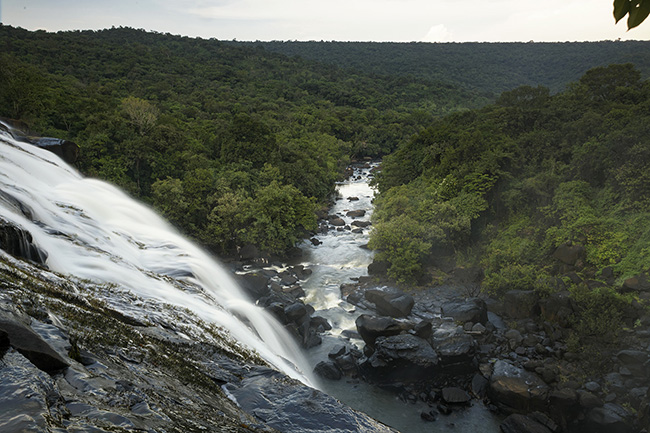 The view from the top of the Kokoun Timbobhè waterfall in the Moyen-Bafing National Park in Guinea offers a spectacular sight of the surrounding dense forest.