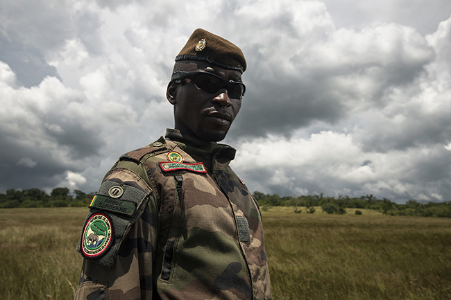 Portrait of a ranger from the paramilitary Nature Conservation Corps. Although they are few in number in the Moyen-Bafing National Park in Guinea, they are the only ones legally authorized to make arrests or issue fines for wildlife or plant-related crimes. Additionally, although the risk is very low, being directly affiliated with the Guinean army and with the park located near the Malian border, they have the mission to monitor any potential jihadist incursions into the park.