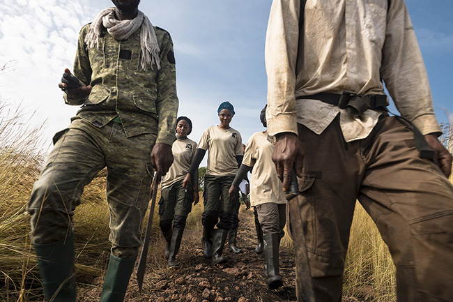 Female eco-guards heading to the starting point of their daily wildlife inventory patrol in the Dara region of the Moyen-Bafing National Park in Guinea.